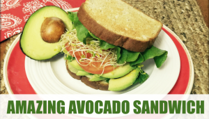 Avocado Feature Image