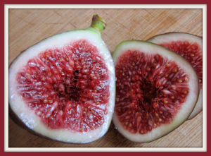 Figs