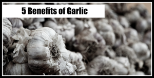 5 benefits of garlic