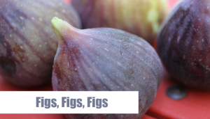 Figs, Figs, Figs